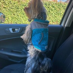 Meet your Posher, Mary